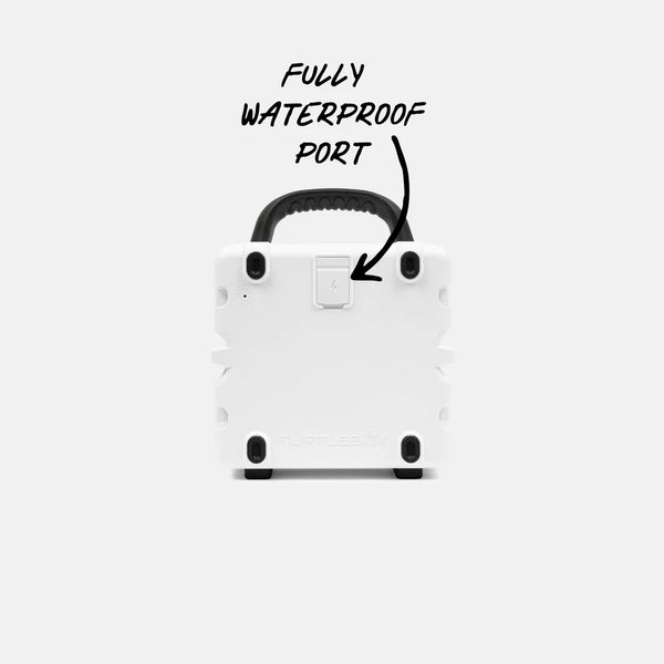 Cub - White