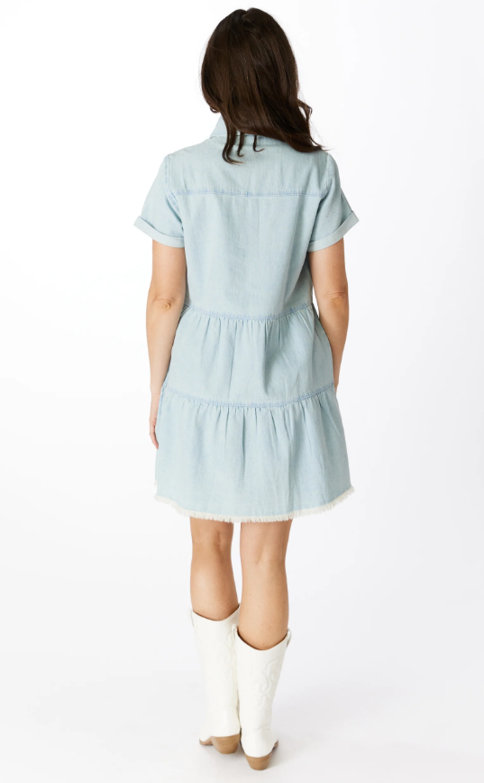 The Denim Dress - Noles