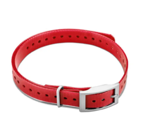 3/4-inch Collar Straps - Red