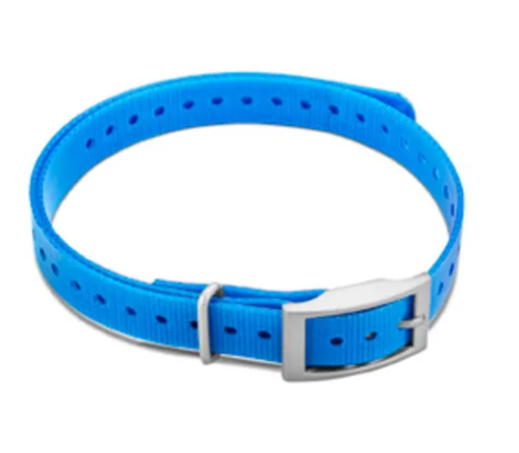 3/4-inch Collar Straps - Blue