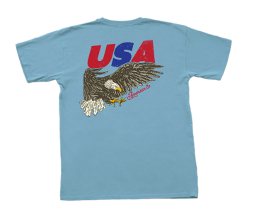 USA Eagle - Chambray