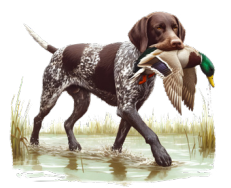Duck Dog - Leather Scent
