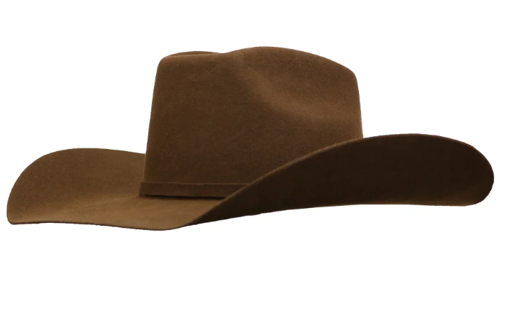 Ariat Mens 2X Wool Two Cord Hatband Pin Felt Hat - Brown