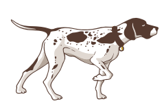 GSP - Range Scent