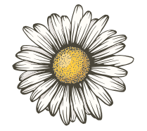 Daisy - Lemon Scent
