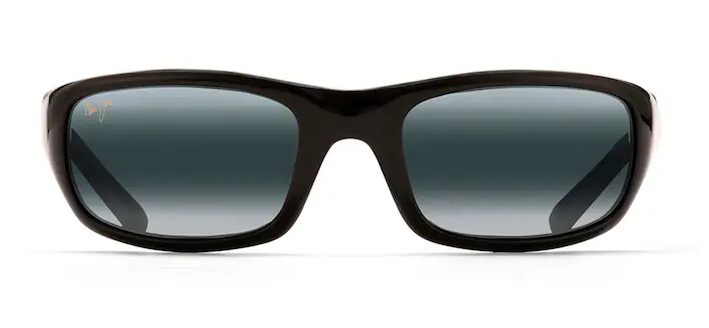 Stingray Polarized - Gloss Black w/ Neutral Grey