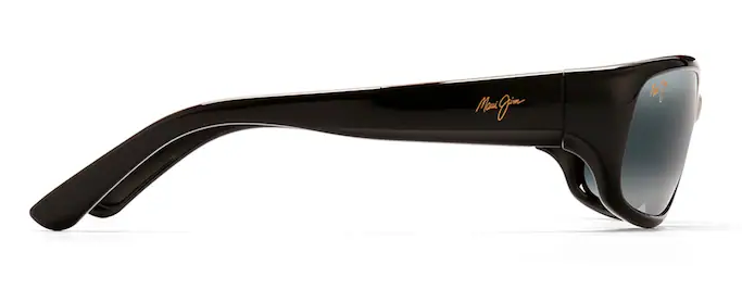 Stingray Polarized - Gloss Black w/ Neutral Grey