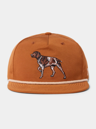 Pointer Hat Clay