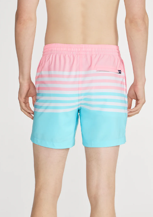 The On The Horizons 5.5" Lined Swim Trunk