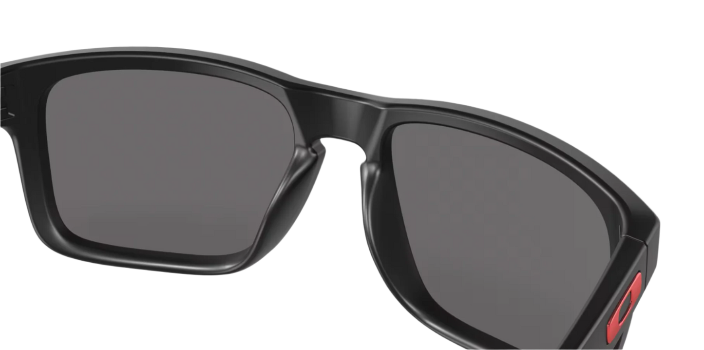 Holbrook™ + Red Iridium Lenses Matte Black Frame