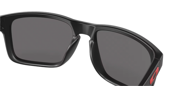 Holbrook™ + Red Iridium Lenses Matte Black Frame