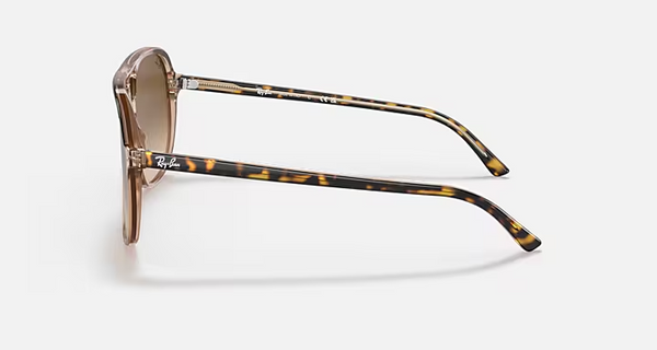 Bill Light Brown Gradient Lenses on Transparent Brown Polished Havana