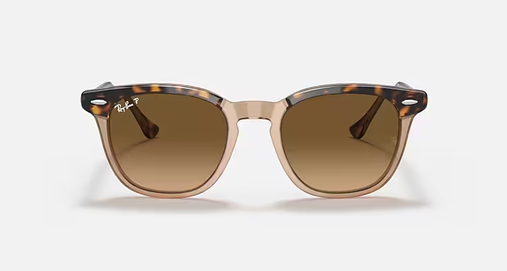 Hawkeye Polished Havana On Transparent Brown Brown Gradient Lenses