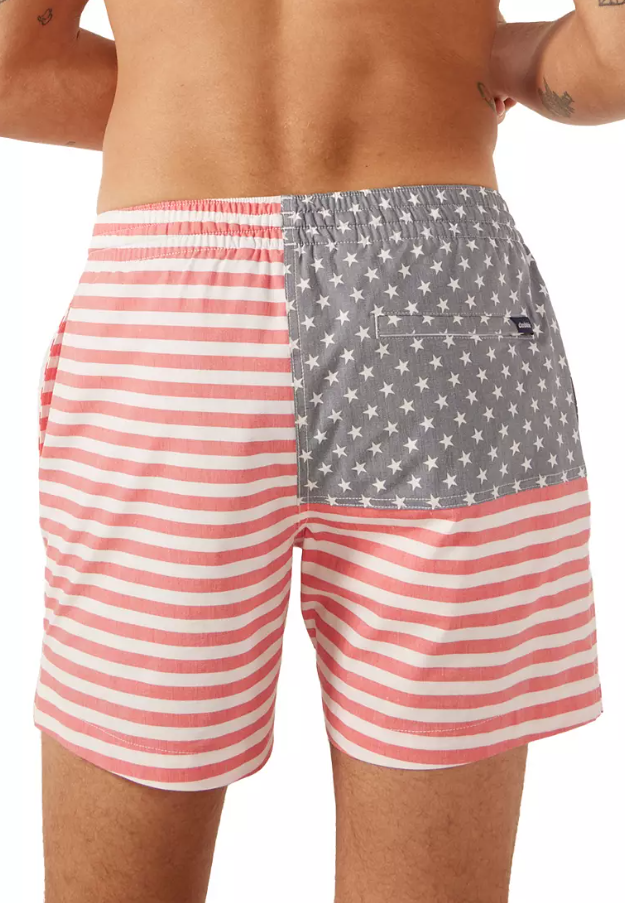 The Mericas 5.5" Lined Swim Trunks