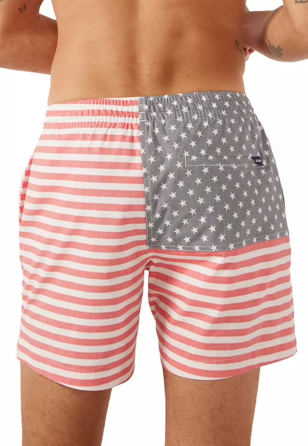 The Mericas 5.5" Lined Swim Trunks