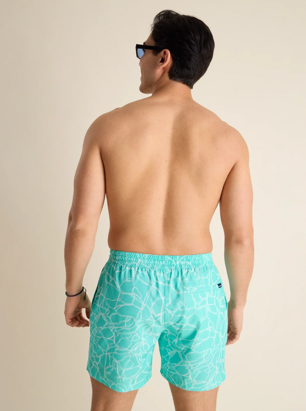 The Pool Parties 5.5" Lined Swim Trunks