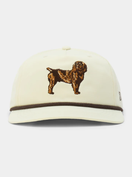 Boykin Spaniel Hat - Ivory