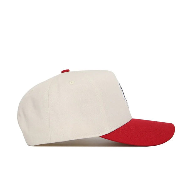 Georgia Bulldogs Logo Hat