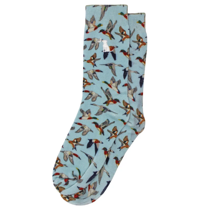 Dress Socks - Blue Skein