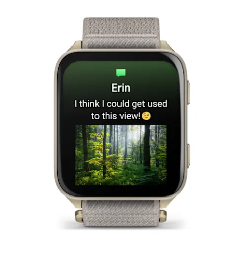 Venu® X1 Soft Gold with Titanium Caseback and French Gray Nylon Band