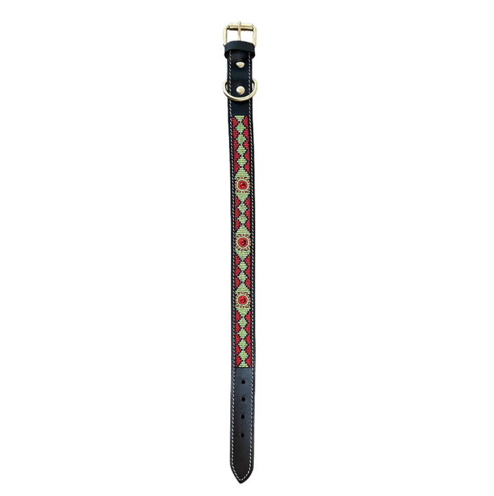 Buena Onda Dog Collar - Red & Green