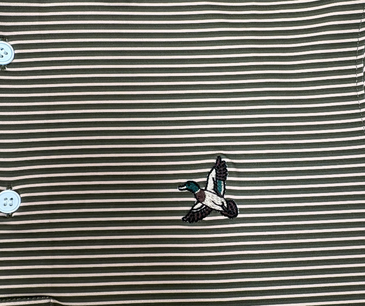 Timber Performance Polo - Flood Stripe