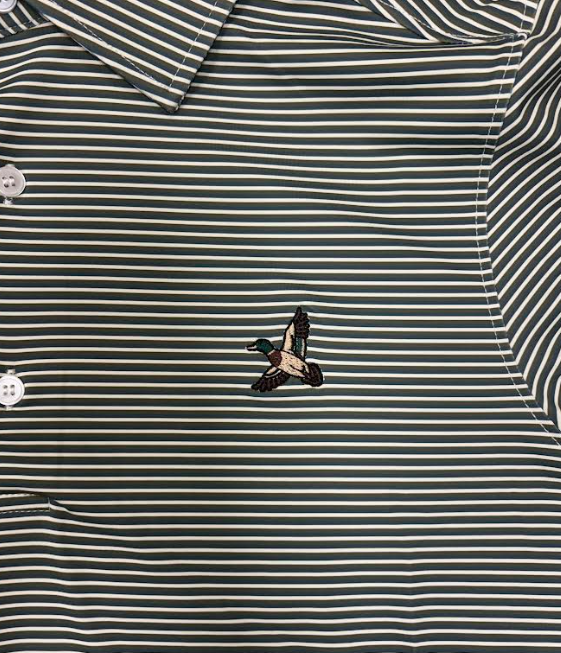 Timber Performance Polo - Daybreak Stripe