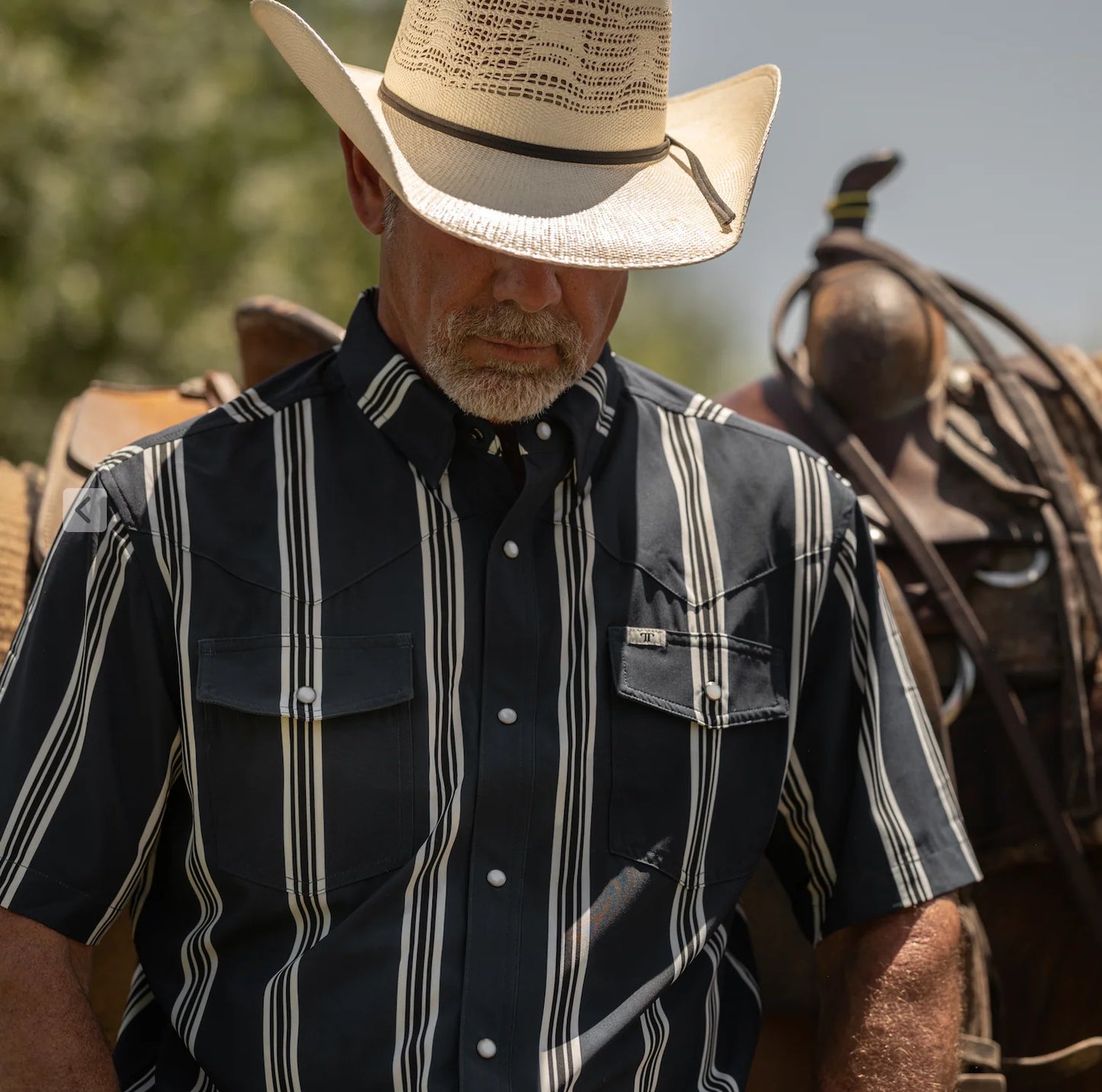 The Hatfield Short Sleeve Pearl Snap Shirt in Blue