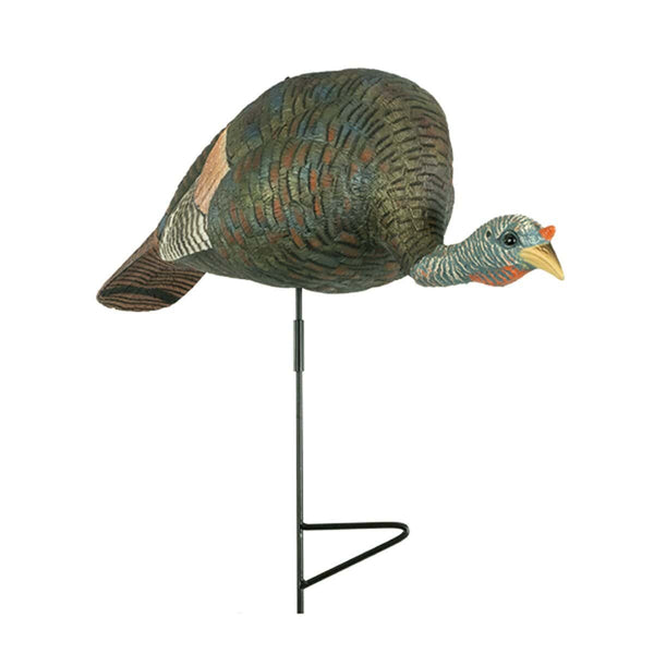 Bugging Hen Decoy