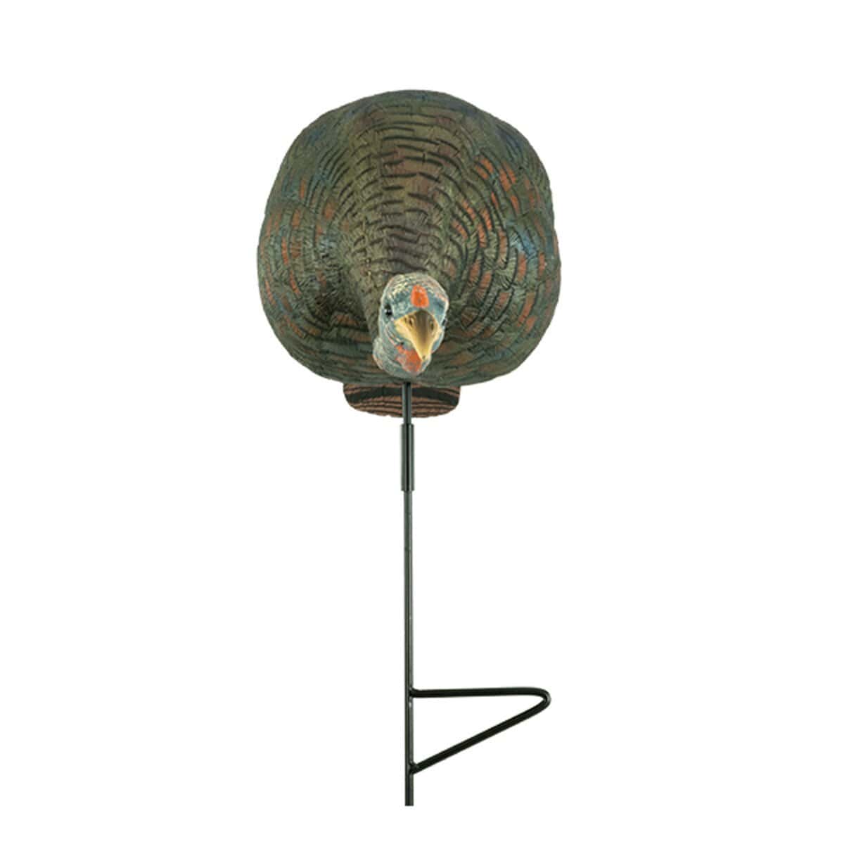 Bugging Hen Decoy