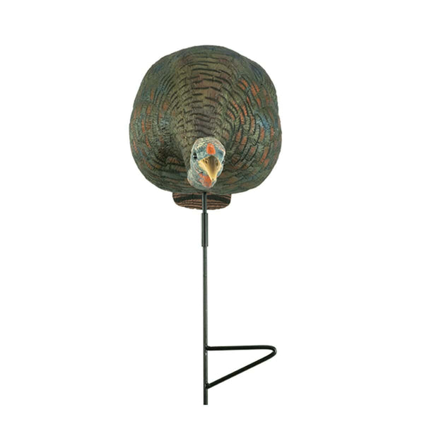 Bugging Hen Decoy
