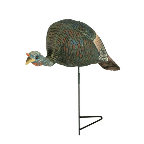 Bugging Hen Decoy