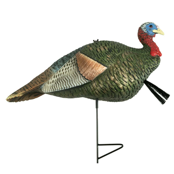 Half Strut Jake Turkey Decoy