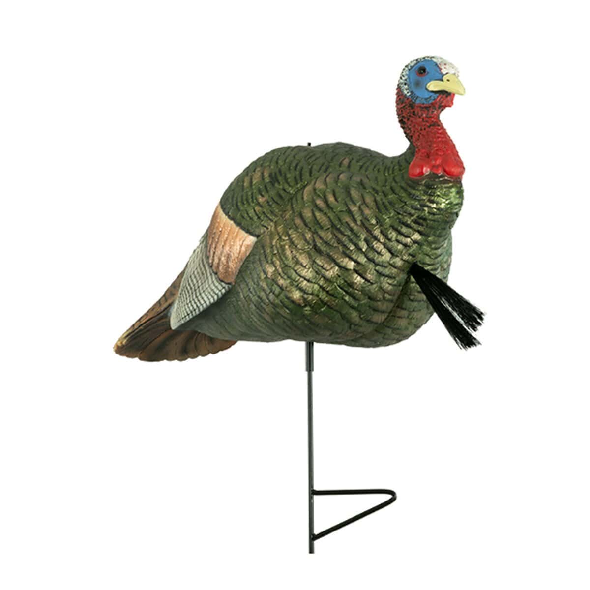 Half Strut Jake Turkey Decoy