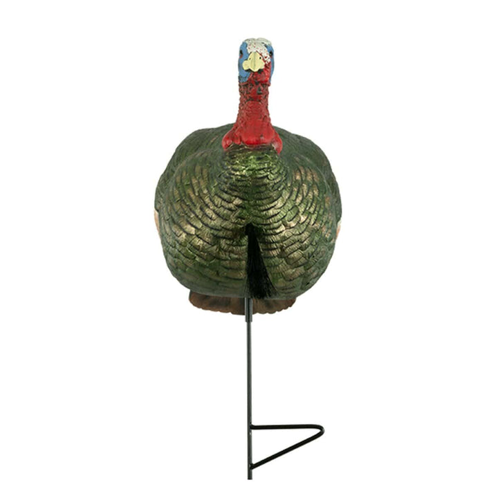 Half Strut Jake Turkey Decoy