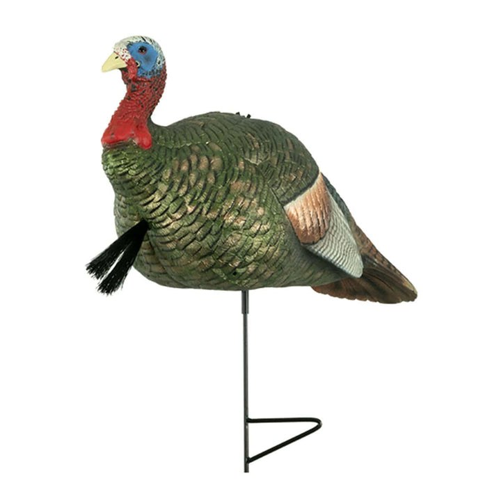 Half Strut Jake Turkey Decoy