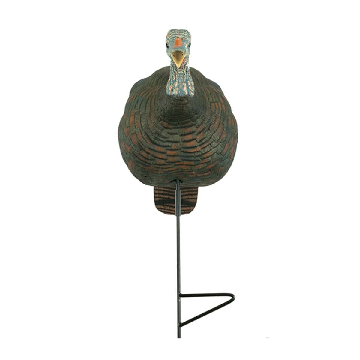 Relaxed Feeding Hen Decoy