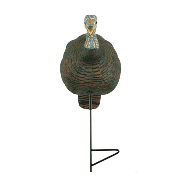Relaxed Feeding Hen Decoy