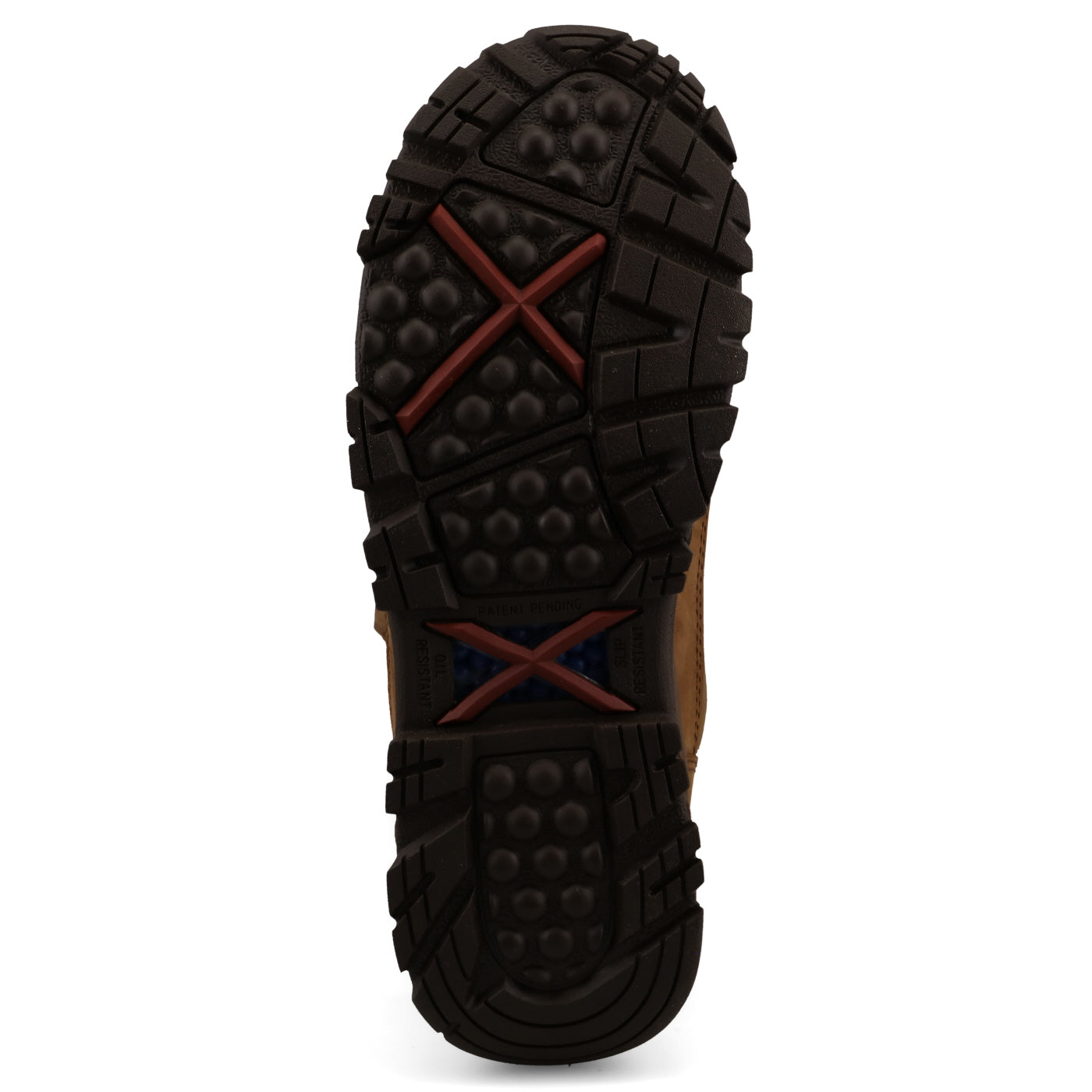 Women's 16" Snake Boot- Lion Tan