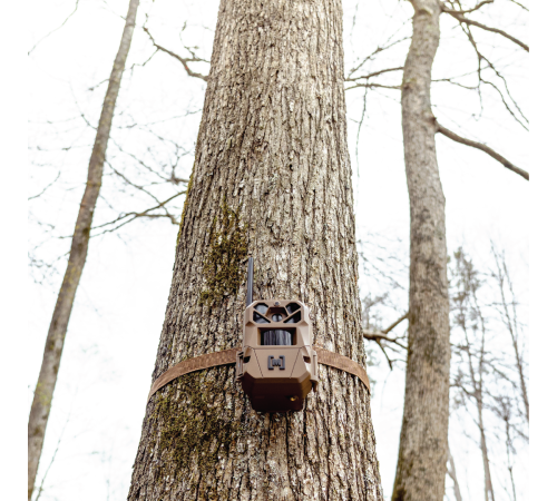 Edge 3 Cellular Trail Camera