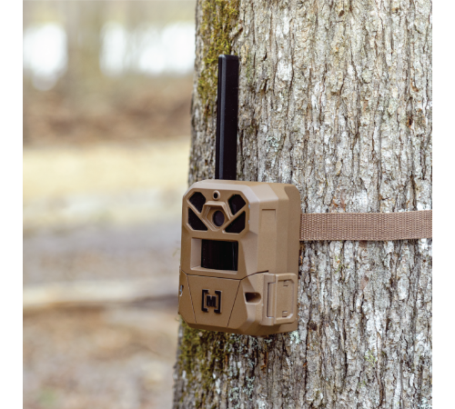 Edge 3 Cellular Trail Camera