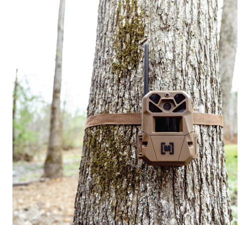 Edge 3 Cellular Trail Camera