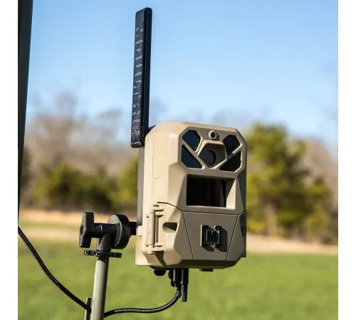 Edge 3 Pro Cellular Trail Camera