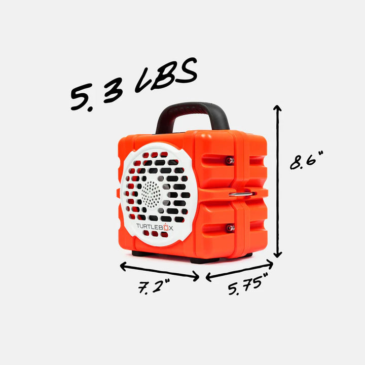 Cub - Orange