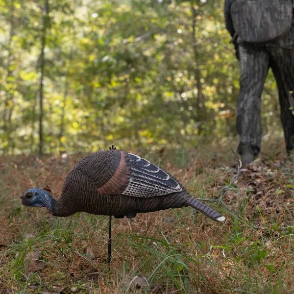 Pretty Girl™ Bugging Hen Decoy
