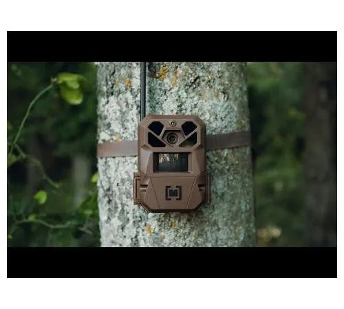 Edge 3 Cellular Trail Camera
