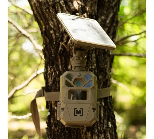 Edge 3 Solar Cellular Trail Camera
