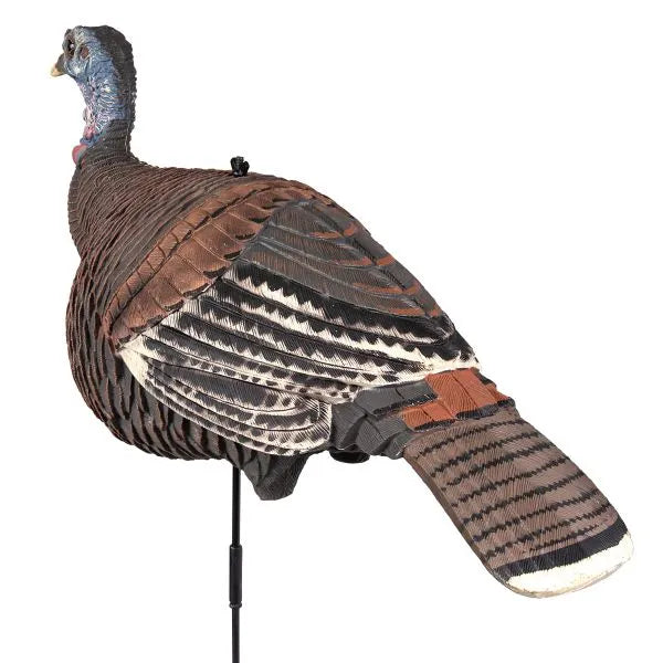 Pretty Girl™ Lookout Hen Decoy