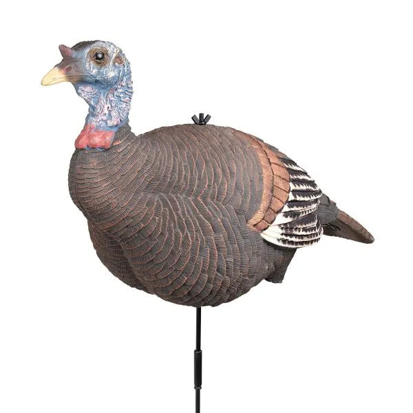 Pretty Girl™ Lookout Hen Decoy