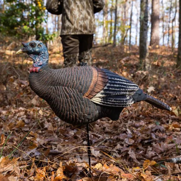 Pretty Girl™ Lookout Hen Decoy